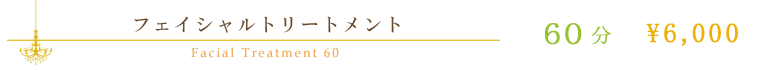 フェイシャルトリートメント
