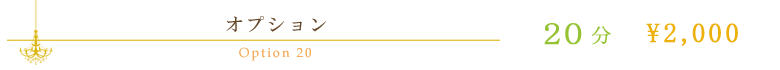 オプション